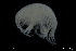  ( - ZMBN_136258)  @11 [ ] Creative Commons BY NC SA (2020) University of Bergen Natural History Collections
