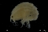  ( - ZMBN_136300)  @11 [ ] Creative Commons BY NC SA (2020) University of Bergen Natural History Collections