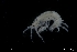  ( - ZMBN_136338)  @11 [ ] Creative Commons BY NC SA (2020) University of Bergen Natural History Collections