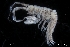  ( - ZMBN_136394)  @11 [ ] Creative Commons BY NC SA (2020) University of Bergen Natural History Collections