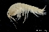  ( - ZMBN_136415)  @11 [ ] Creative Commons BY NC SA (2020) University of Bergen Natural History Collections