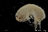  ( - ZMBN_136419)  @11 [ ] Creative Commons BY NC SA (2020) University of Bergen Natural History Collections
