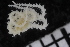  ( - ZMBN_136445)  @11 [ ] Creative Commons BY NC SA (2020) University of Bergen Natural History Collections