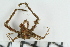  ( - ZMBN_136549)  @11 [ ] Creative Commons BY NC SA (2020) University of Bergen Natural History Collections