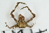 ( - ZMBN_136549)  @11 [ ] Creative Commons BY NC SA (2020) University of Bergen Natural History Collections