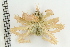  ( - ZMBN_136553)  @11 [ ] Creative Commons BY NC SA (2020) University of Bergen Natural History Collections