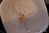  ( - ZMBN_136577)  @11 [ ] Creative Commons BY NC SA (2020) University of Bergen Natural History Collections