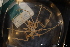  ( - ZMBN_136577)  @11 [ ] Creative Commons BY NC SA (2020) University of Bergen Natural History Collections