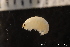  ( - ZMBN_136681)  @11 [ ] Creative Commons BY NC SA (2020) University of Bergen Natural History Collections
