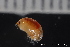  ( - ZMBN_136681)  @11 [ ] Creative Commons BY NC SA (2020) University of Bergen Natural History Collections
