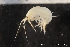  ( - ZMBN_136985)  @11 [ ] Creative Commons BY NC SA (2020) University of Bergen Natural History Collections