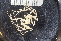  ( - ZMBN_137822)  @11 [ ] Creative Commons BY NC SA (2020) University of Bergen Natural History Collections