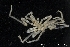  ( - ZMBN_137834)  @11 [ ] Creative Commons BY NC SA (2020) University of Bergen Natural History Collections