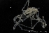  ( - ZMBN_137848)  @11 [ ] Creative Commons BY NC SA (2020) University of Bergen Natural History Collections