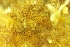  ( - ZMBN_138020)  @11 [ ] CreativeCommons BY NC SA (2021) University of Bergen Natural History Collections