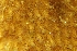  ( - ZMBN_138033)  @11 [ ] CreativeCommons BY NC SA (2021) University of Bergen Natural History Collections