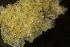  ( - ZMBN_138179)  @11 [ ] CreativeCommons BY NC SA (2021) University of Bergen Natural History Collections