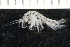  ( - ZMBN_140106)  @11 [ ] Creative Commons BY NC SA (2022) University of Bergen Natural History Collections