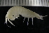  ( - ZMBN_140782)  @11 [ ] Creative Commons BY NC SA (2022) University of Bergen Natural History Collections