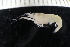  ( - ZMBN_147464)  @11 [ ] Creative Commons BY NC SA (2022) University of Bergen Natural History Collections