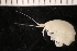  ( - ZMBN_147641)  @11 [ ] Creative Commons BY NC SA (2022) University of Bergen Natural History Collections