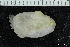  ( - ZMBN_147714)  @11 [ ] Creative Commons BY NC SA (2022) University of Bergen Natural History Collections
