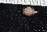  ( - ZMBN_147804)  @11 [ ] Creative Commons BY NC SA (2022) University of Bergen Natural History Collections