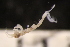  ( - ZMBN_147913)  @11 [ ] Creative Commons BY NC SA (2022) University of Bergen Natural History Collections