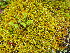  ( - HG 07-17.5)  @11 [ ] No Rights Reserved  Unspecified Unspecified