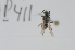  ( - RBINS-AP411)  @11 [ ] Unspecified (default): All Rights Reserved  Unspecified Unspecified