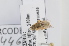  ( - RBINS-AP446)  @12 [ ] Unspecified (default): All Rights Reserved  Unspecified Unspecified