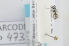  ( - RBINS-AP473)  @12 [ ] Unspecified (default): All Rights Reserved  Unspecified Unspecified