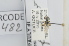  ( - RBINS-AP482)  @11 [ ] Unspecified (default): All Rights Reserved  Unspecified Unspecified