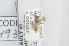  ( - RBINS-AP493)  @11 [ ] Unspecified (default): All Rights Reserved  Unspecified Unspecified