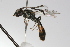  ( - MACN-En 9711)  @11 [ ] Copyright (2012) MACN Museo Argentino de Ciencias Naturales 