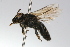  ( - MACN-En 9784)  @14 [ ] Copyright (2012) MACN Museo Argentino de Ciencias Naturales 