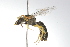  ( - MACN-En 9743)  @14 [ ] Copyright (2012) MACN Museo Argentino de Ciencias Naturales 