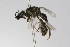  ( - MACN-En 9858)  @11 [ ] Copyright (2012) MACN Museo Argentino de Ciencias Naturales 