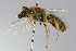  ( - MACN-En 8018)  @14 [ ] Copyright (2012) MACN Museo Argentino de Ciencias Naturales 