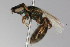  ( - MACN-En 9823)  @13 [ ] Copyright (2012) MACN Museo Argentino de Ciencias Naturales 