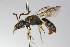  ( - MACN-En 9839)  @11 [ ] Copyright (2012) MACN Museo Argentino de Ciencias Naturales 