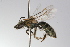  ( - MACN-En 9841)  @14 [ ] Copyright (2012) MACN Museo Argentino de Ciencias Naturales 