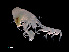 ( - NBCHyAmp-070)  @11 [ ] CreativeCommons Attribution-NonCommercial-ShareAlike (2023) Naturalis Biodiversity Center Unspecified