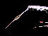  ( - NBCHyAmp-212)  @11 [ ] CreativeCommons Attribution-NonCommercial-ShareAlike (2023) Naturalis Biodiversity Center Unspecified