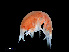  (Scina - NBCHyAmp-218)  @11 [ ] CreativeCommons Attribution-NonCommercial-ShareAlike (2023) Naturalis Biodiversity Center Unspecified