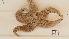  ( - HA04_AST_A_0111.3_UBGD.295052)  @11 [ ] CreativeCommons - Attribution Share-Alike (2024) Unspecified Universite de Bourgogne, Biogeosciences
