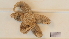  ( - HA04_AST_A_0125.2_UBGD.295087)  @11 [ ] CreativeCommons - Attribution Share-Alike (2024) Unspecified Universite de Bourgogne, Biogeosciences