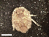  (Septemserolis - HA04_ISO_J_0208.1.1_(ex_ISO_B)_UBGD.295172)  @11 [ ] CreativeCommons - Attribution Share-Alike (2024) Unspecified Universite de Bourgogne, Biogeosciences