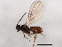  ( - BIOUG00997-F02)  @12 [ ] CreativeCommons - Attribution (2011) CBG Photography Group Centre for Biodiversity Genomics