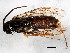  ( - BIOUG01016-C01)  @13 [ ] CreativeCommons - Attribution (2011) CBG Photography Group Centre for Biodiversity Genomics